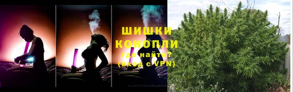 гашик Гусев