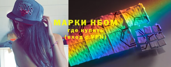 амф Горняк