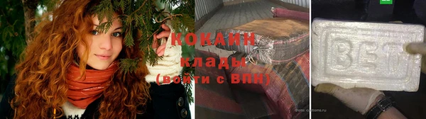 гашик Гусев