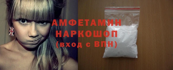 амф Гусь-Хрустальный