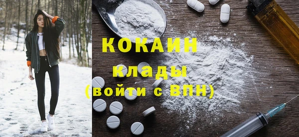 ГАЛЛЮЦИНОГЕННЫЕ ГРИБЫ Горно-Алтайск
