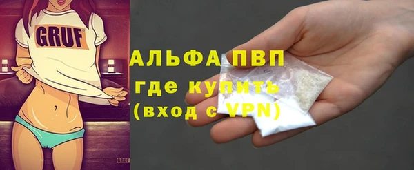 амф Горняк