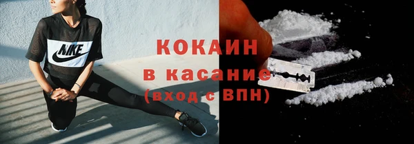 амф Гусь-Хрустальный
