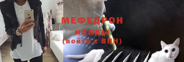 гашик Гусев