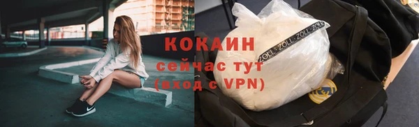 ГАЛЛЮЦИНОГЕННЫЕ ГРИБЫ Горно-Алтайск