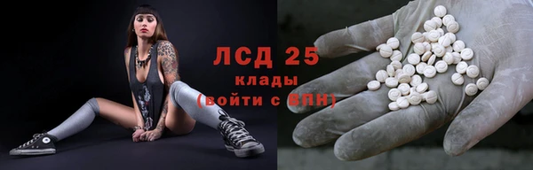 трава Гусиноозёрск