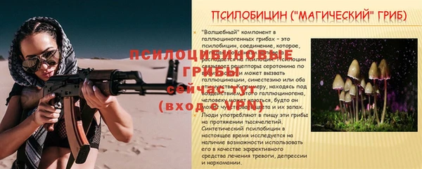 трава Гусиноозёрск