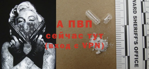 трава Гусиноозёрск