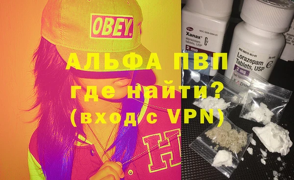 амф Горняк