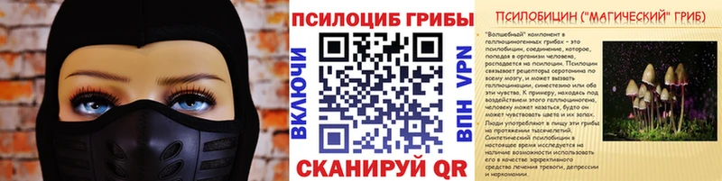 Купить  Боготол  Псилоцибиновые грибы мухоморы 